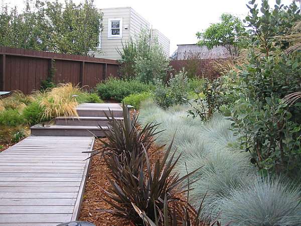 Modern-landscaping-with-native-plants