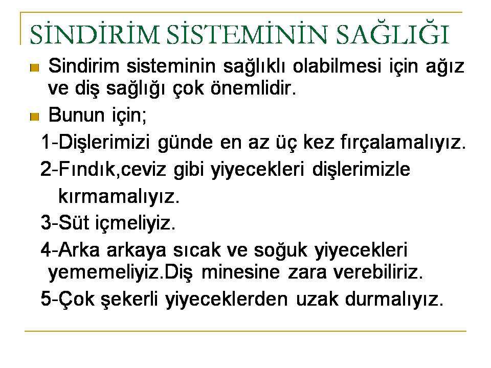 sindirim_sistemi_sagligi_1