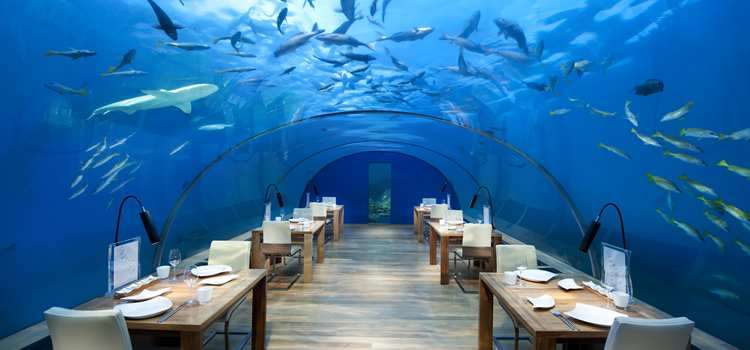 Ithaa undersea restaurant