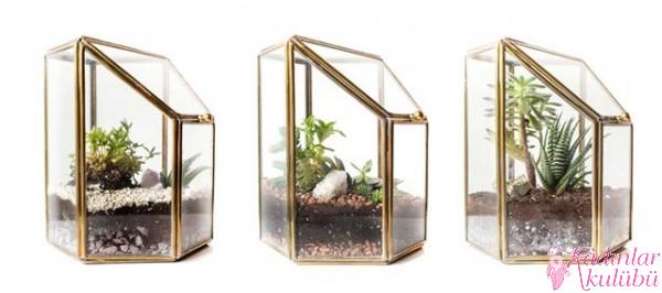 terrarium_yapimi_icin_en_guzel_30_ornek (24)