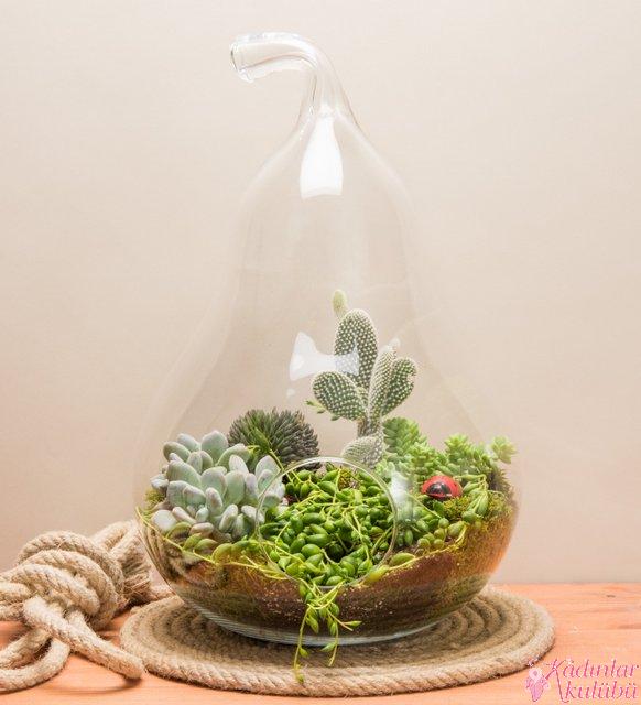 terrarium_yapimi_icin_en_guzel_30_ornek (3)