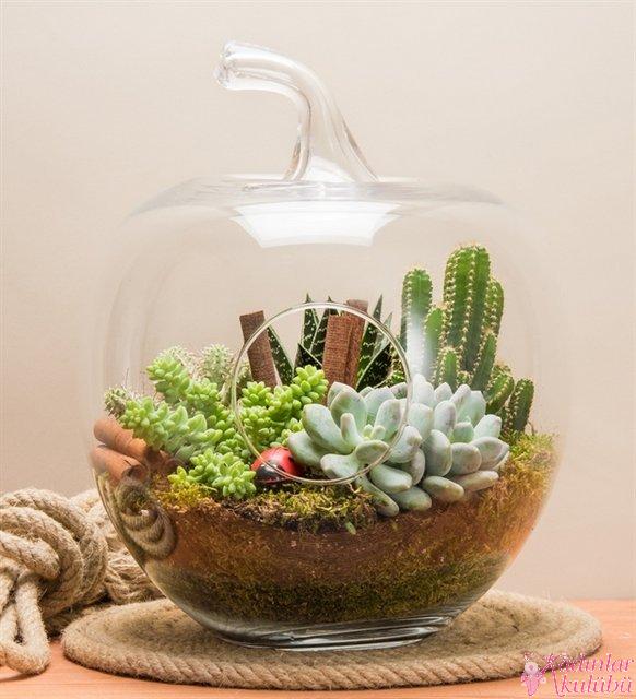 terrarium_yapimi_icin_en_guzel_30_ornek (34)