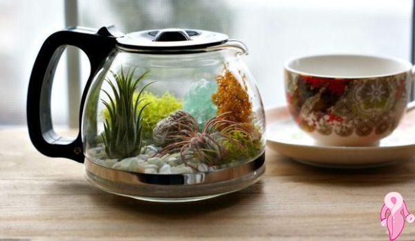 terrarium_caydanlik_nasil_yapilir