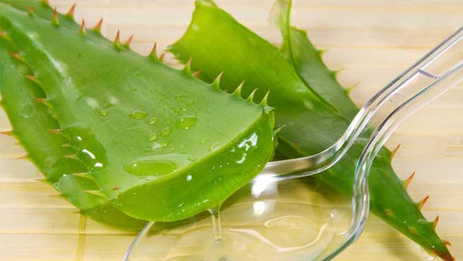 gunes_lekelerine_aloe_vera_maskesi_tarifi.jpg