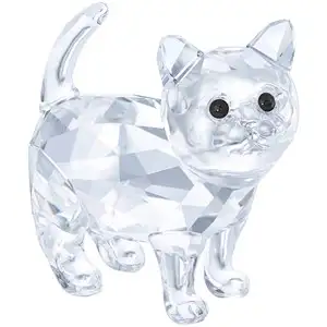 0003758-baby-cat-300.webp