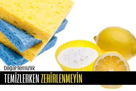 01.06.2014_dogal_temizlik.webp