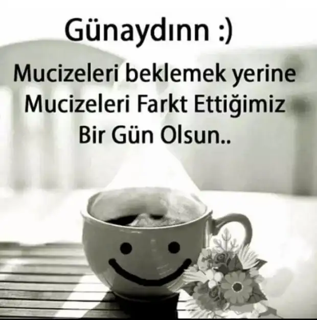1581407170502.webp