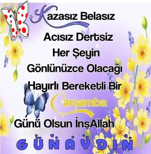 1581488722979.webp