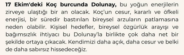 17 ek koç dolunay (1).jpg