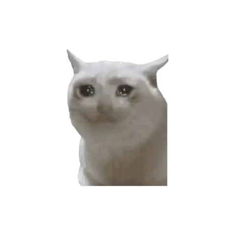 1752886876008.webp