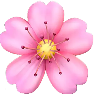 1763814436700.webp