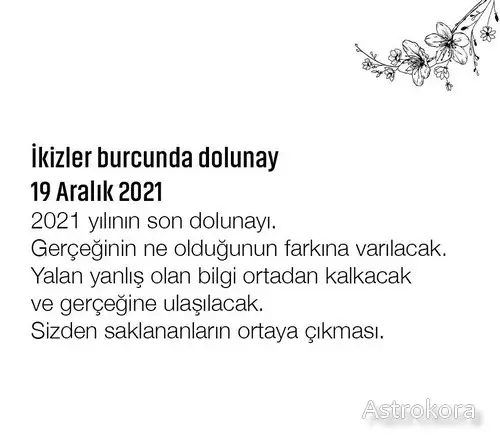 19 ikizler dolunayı 1.webp