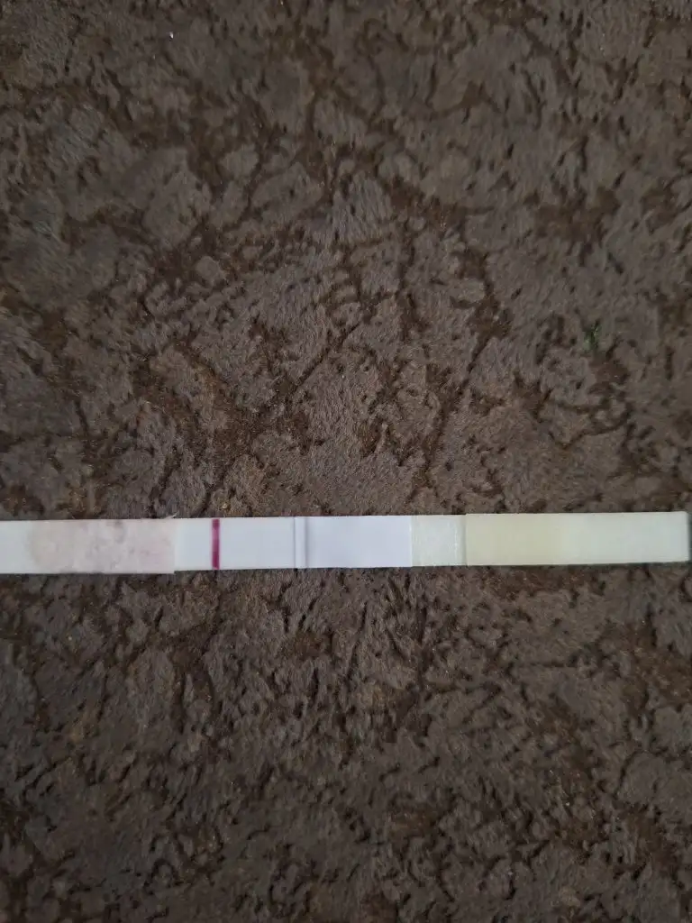 20240519_212230.webp