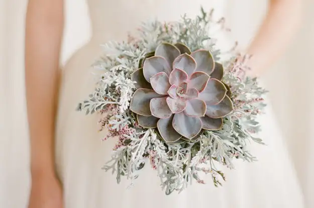 23-wedding-succulents-that-will-make-you-forget-a-2-15507-1458309964-0_dblbig.webp