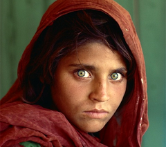 240px-Sharbat_Gula.png