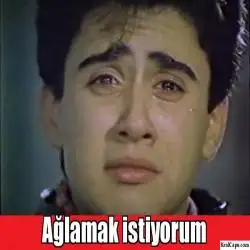 2lqsh1.webp