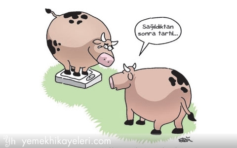 42443-karikatur-31.jpg