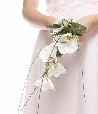 496cffd730ca2efe44da67e623a2535b--white-orchid-bouquet-orchid-wedding-bouquets.jpg