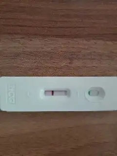 2244011