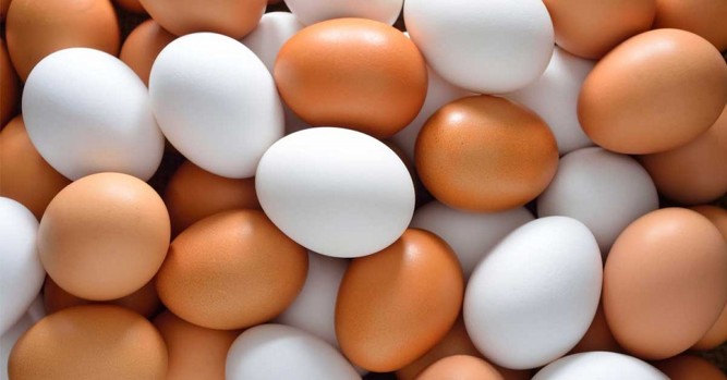 55_white-brown-eggs-fbjpg.jpg