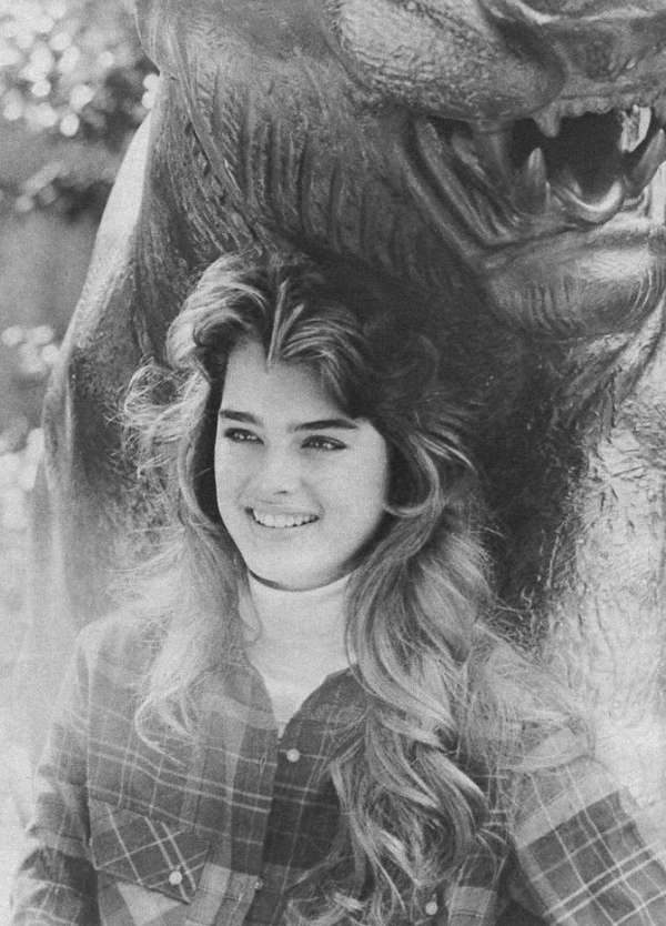 600full-brooke-shields (11).jpg