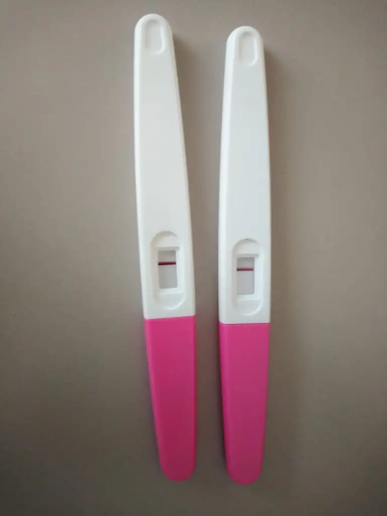 786e3e9c-e2d0-4ba9-ab65-a8f79feb0313.webp