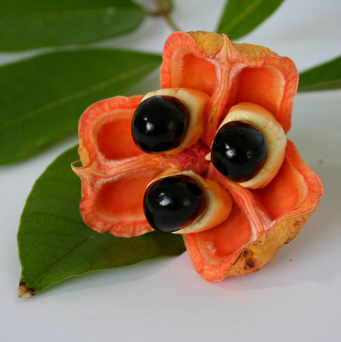 ackee.jpg