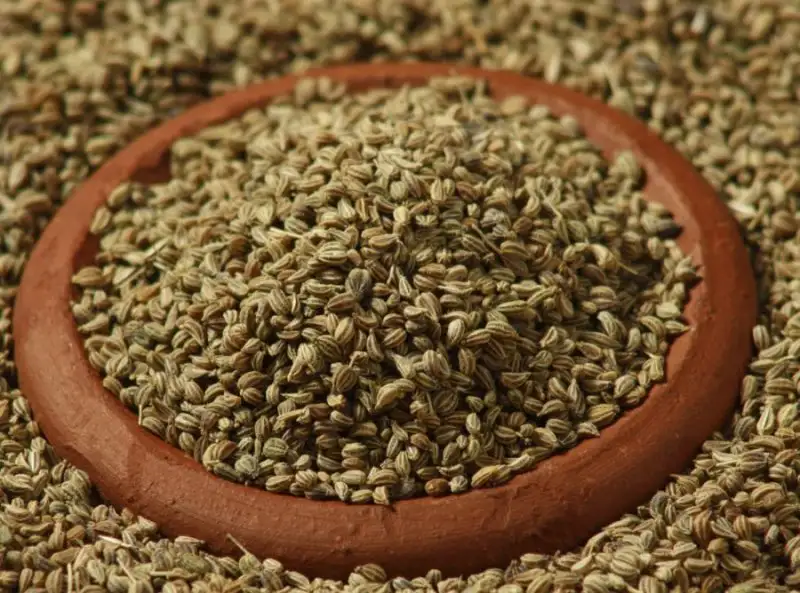 ajwain-900x668.webp