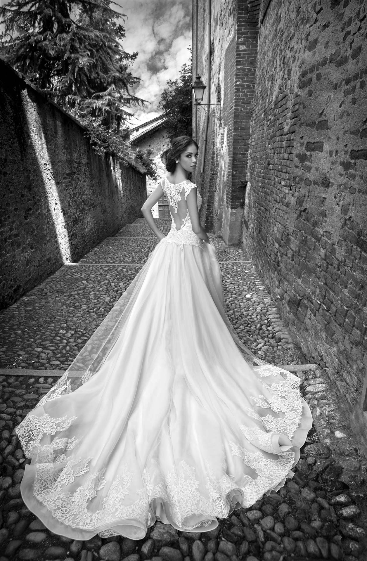 alessandra-rinaudo-ARAB15624IV-SILVIE-AR_CollezioneSposa2015-moda-sposa-2015-250.jpg