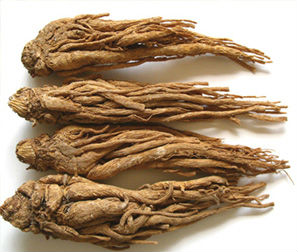 Angelica-Root-Oil.jpg