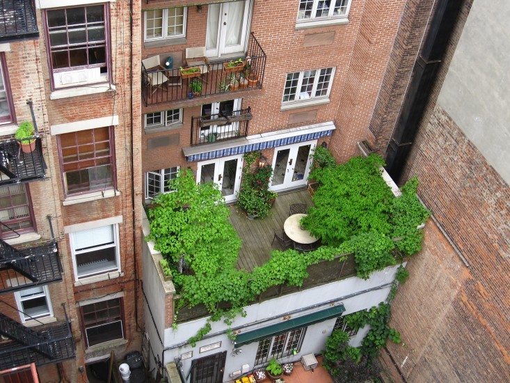 apartment-garden-ideas-to-steal-green-roof-marie-viljoen-gardenista-733x550.jpg