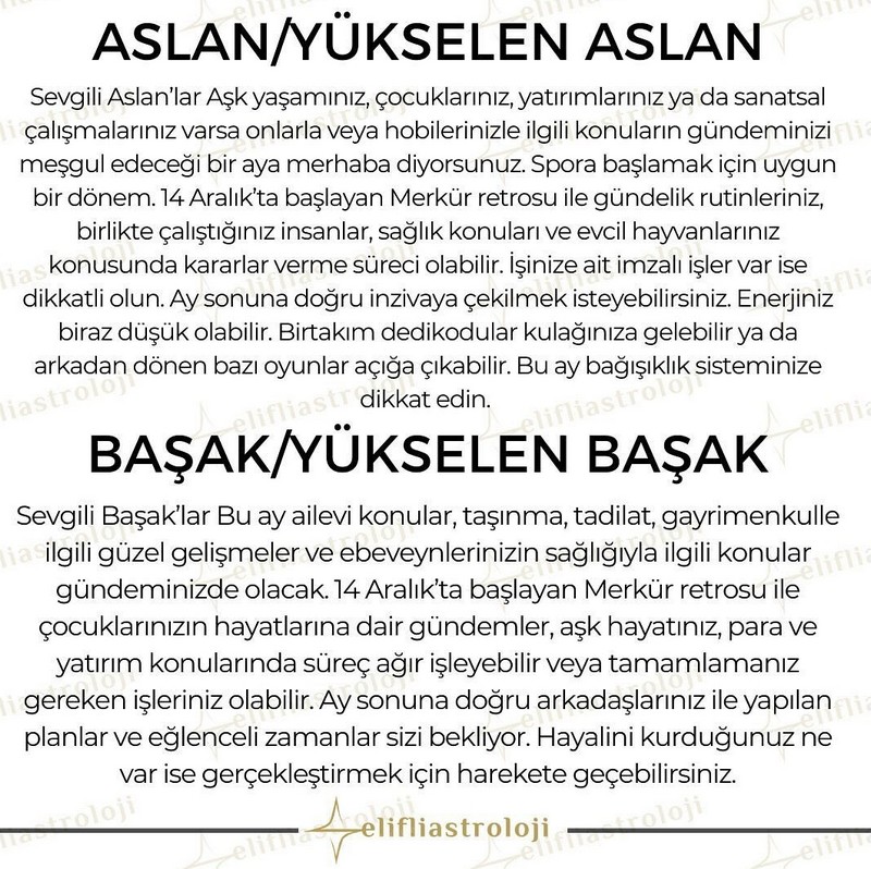 aralık aylık (4).jpg