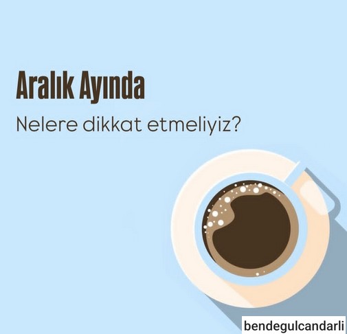 aralık ay (1).jpg