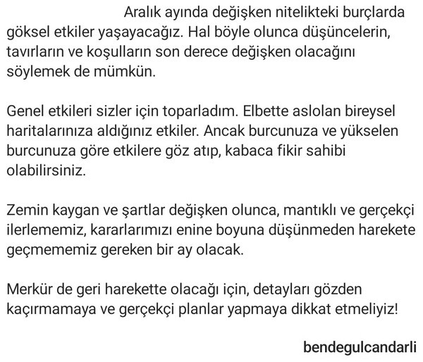 aralık ay6 (15).jpg