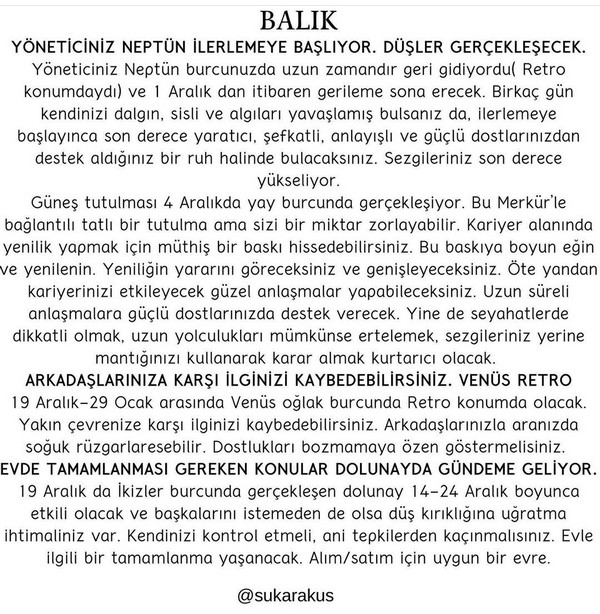 aralık aylık 51 (13).jpg