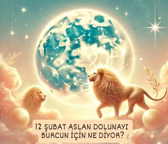 aslan (35).webp