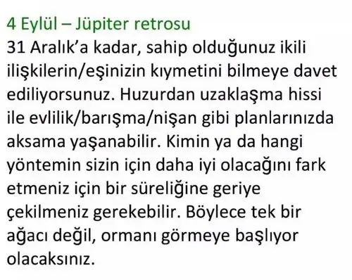 aylık 1 (25).webp