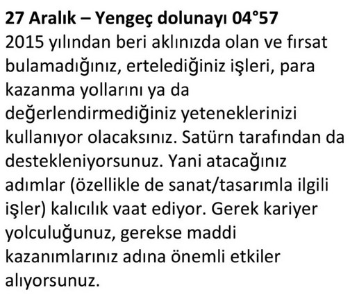 aylık aralık1 (12).jpg