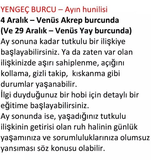 aylık aralık1 (15).jpg