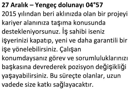 aylık aralık1 (29).jpg