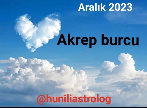 aylık aralık1 (30).jpg