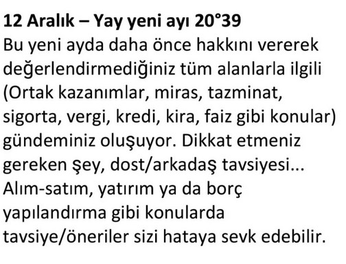 aylık aralık1 (7).jpg