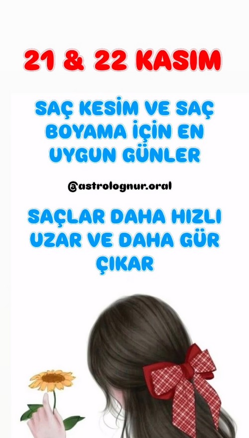 aylık kası.jpg