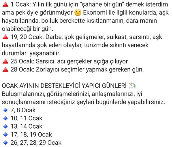 aylık ocak (2).jpg