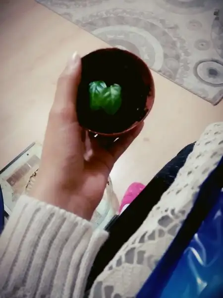B612_20170307_214558.webp