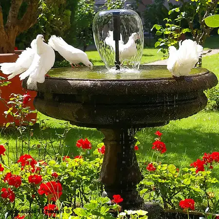 baignoire-fonte-attrayant-je-craque-pour-une-fontaine-de-jardin-21-05-2010-of-baignoire-fonte.webp