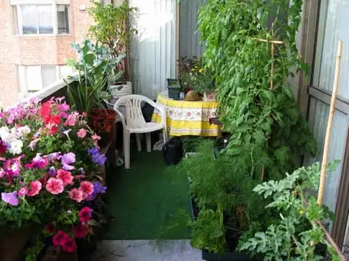 balcony-garden-1.webp