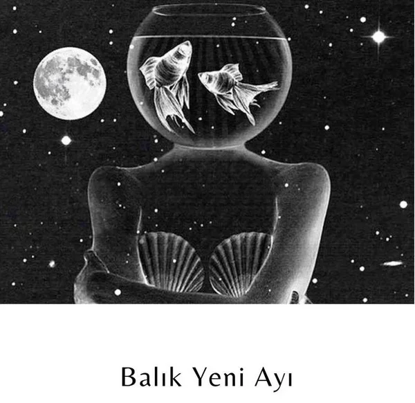 balık yeniayı (2).webp