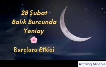 balık yeniayı6.webp