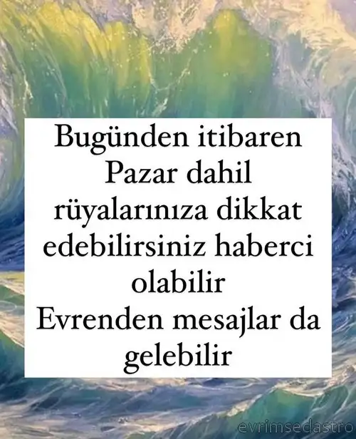 balık44.webp